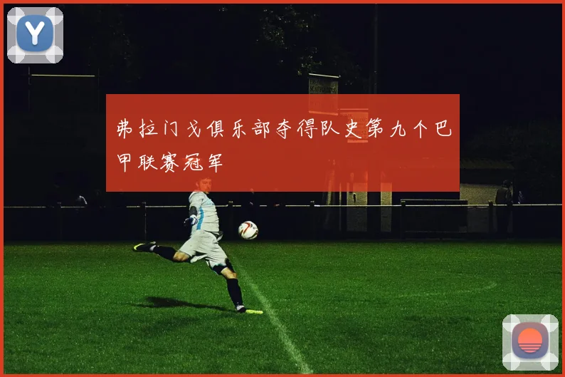 弗拉门戈俱乐部夺得队史第九个巴甲联赛冠军